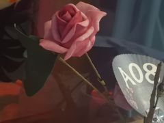 -将太无二·北美传奇寿司(瑞士公寓店)