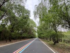-同里国家湿地公园