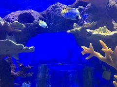 -多彩贵州城极地海洋世界