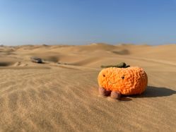 -国际蓝孩BabyInternational(杭州嘉里中心店)