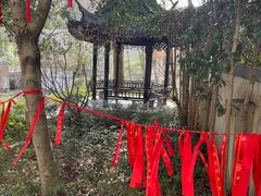 -上海佘山国家森林公园西佘山园