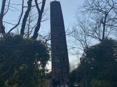 -上海佘山国家森林公园天马山园