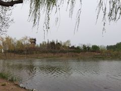 -东郊湿地公园