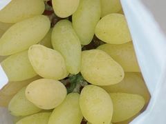 -马陆小张葡萄园农家乐