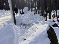 -洛阳白云山景区