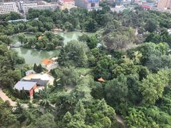 -西苑公园