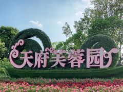 -天府芙蓉园