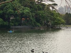 -东山湖公园