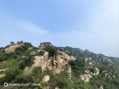 -大岭沟猕猴桃谷风景区