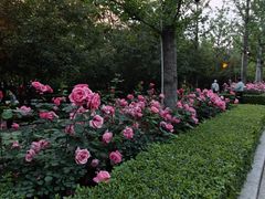 -迎泽公园