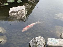 -昆明洲际酒店