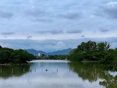 -江心屿景区