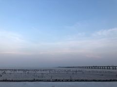 -南汇新城海滩