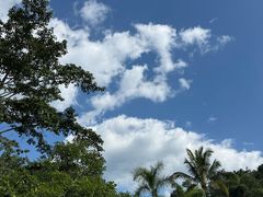 -西双版纳原始森林公园