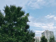 -丰台科技园生态主题公园