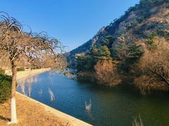 -金龙寺国家森林公园
