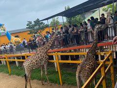 -西霞口神雕山野生动物世界