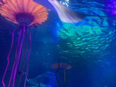 -沈阳海洋探索中心