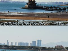 -栈桥景区
