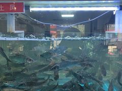 -石锅苗苗鱼(武汉首店)