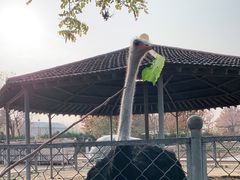 -意大利农场度假村