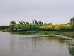 -东郊湿地公园