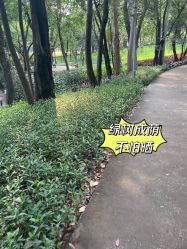 点击看大图 -纷尼探险鸭·亲子户外剧本杀(天河公园店)