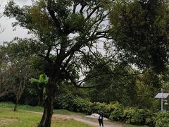 -贵阳市花溪国家城市湿地公园