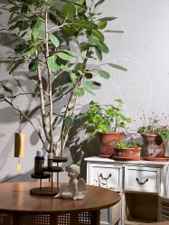 -芳香乐府疗愈空间·SPA·冥想