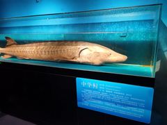 -国家自然博物馆