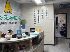 -半岛宠物医院24小时(白果林店)