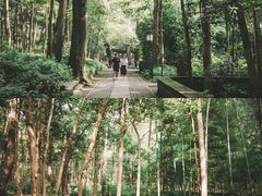 -云栖竹径