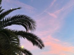 -上海交通大学(闵行校区)