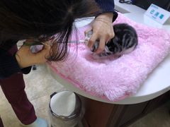 -美联众合动物医院·24h转诊中心