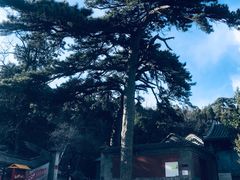 -阳台山自然风景区