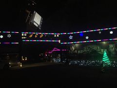 -枫花园汽车电影院(朝阳公园店)