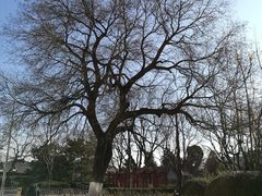 -年记·兴顺斋 牛街清真熟食小吃店