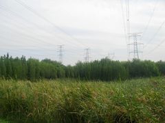 -昆山城市生态森林公园