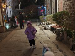 -南京市民俗博物馆(甘熙故居)