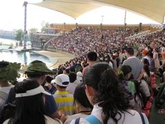 -秦皇岛乐岛海洋王国