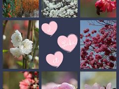 -桃花涧
