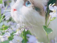 -杭州六谷生态休闲农庄有限公司