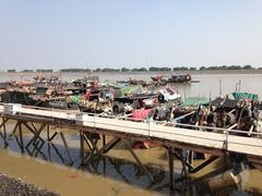 iphone_upload_pic-大湾区中央湿地公园-十九涌