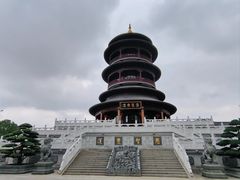 -圆通寺