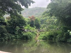-青青世界