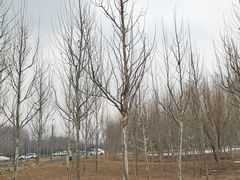 -东郊湿地公园
