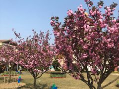 -歌斐颂巧克力小镇