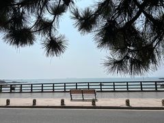 -八大关景区