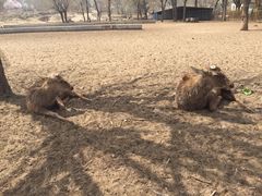 -赛汗塔拉风情园