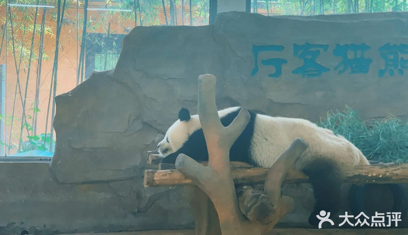 停车费10元。游玩路线：我们是西南门进去的